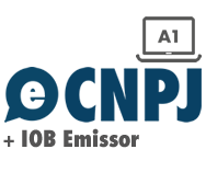 Certificado Digital Empresas e-CNPJ A1 + Sistema Emissor de NFe - 12 meses