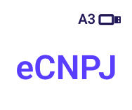 Certificado digital e-CNPJ - no token - 12 meses