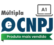 Certificado digital e-CNPJ - no computador - 12 meses - múltipla